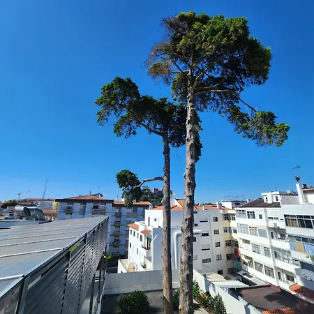 Apartment Plaza *